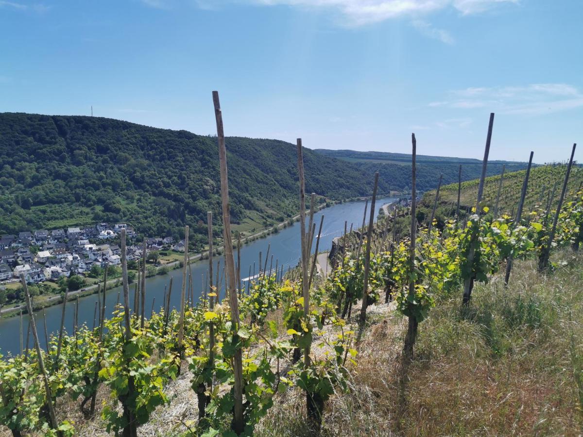 Appartamento Auszeit Rhein-Mosel Waldesch Esterno foto
