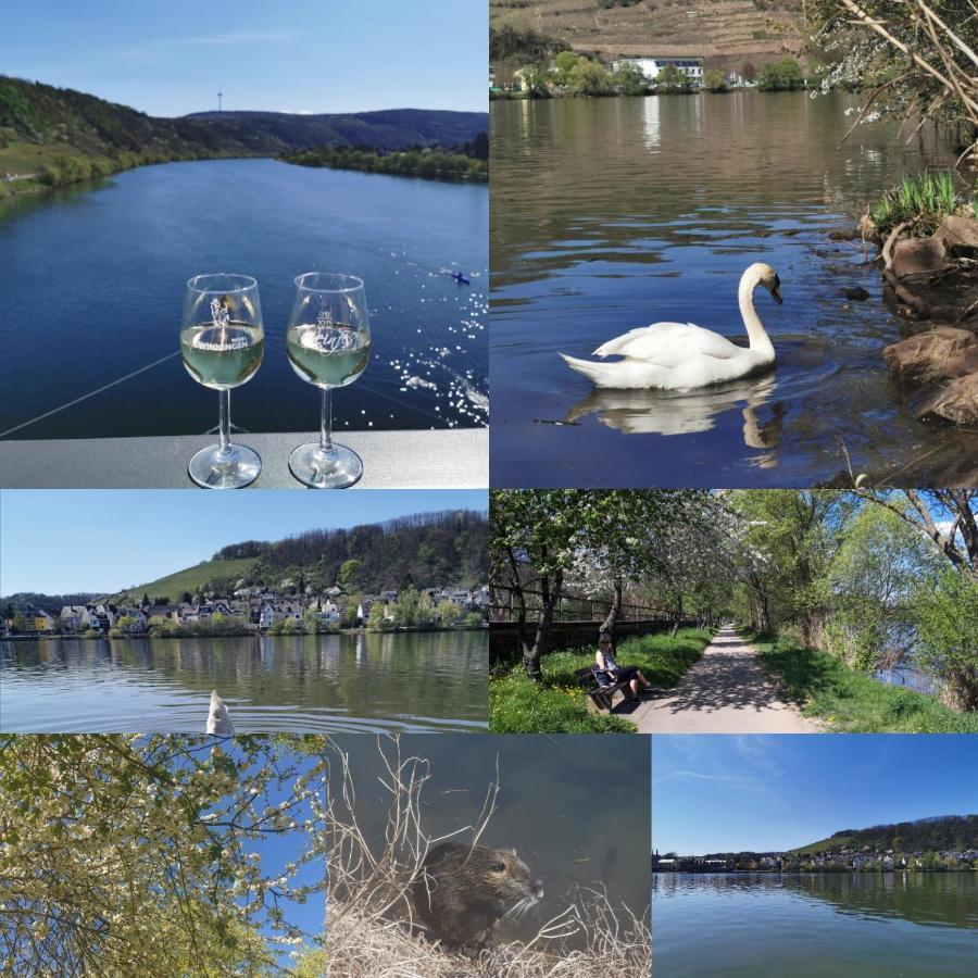 Appartamento Auszeit Rhein-Mosel Waldesch Esterno foto